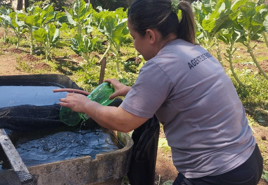 Combate a endemias realiza ações intensivas no bairro Rosário em Córrego Fundo