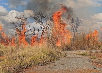 Incêndio de grandes proporções é contido por bombeiros na BR-354