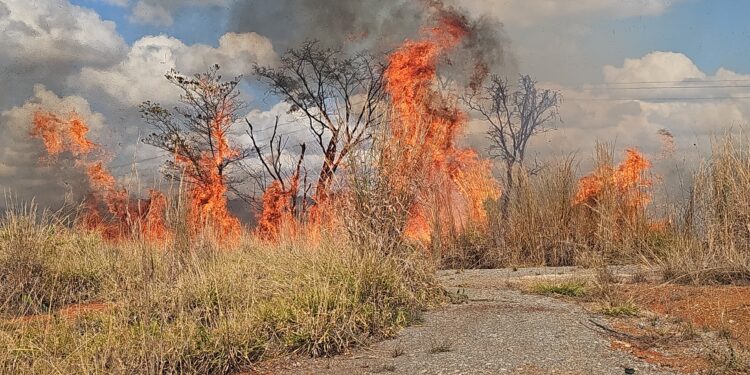 Incêndio de grandes proporções é contido por bombeiros na BR-354