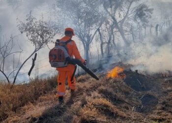 Incêndio atinge área de pastagem às margens da BR-354 em Formiga
