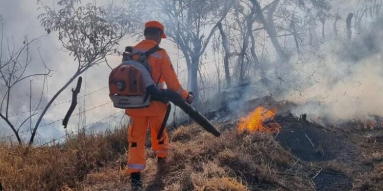 Incêndio atinge área de pastagem às margens da BR-354 em Formiga