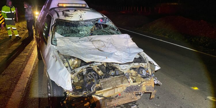 Acidente envolvendo veículo e gado é registrado na MG-050 em Pimenta