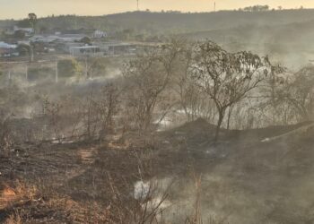 Prefeitura de Formiga notifica proprietários sobre limpeza e conservação de imóveis