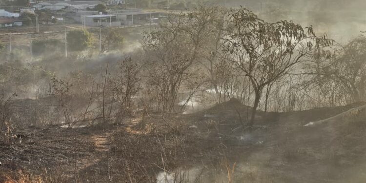 Prefeitura de Formiga notifica proprietários sobre limpeza e conservação de imóveis