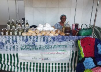 Associação de Artesãos e Cooperativa de Cachaça de Córrego Fundo participam de feira na ALMG