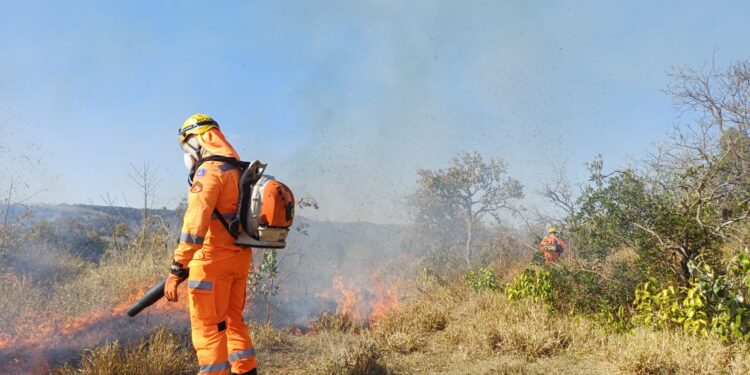 Bombeiros combatem incêndio na comunidade Fazenda Velha, zona rural de Formiga