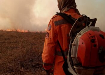 Bombeiros combatem incêndio por quase seis horas na zona rural de Arcos