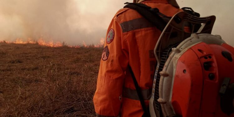 Bombeiros combatem incêndio por quase seis horas na zona rural de Arcos
