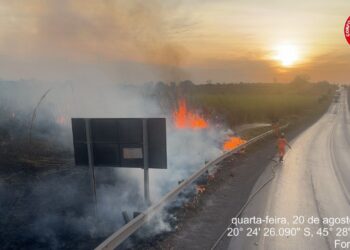 Formiga: bombeiros combatem incêndio em vegetação densa às margens da BR-354; 1,67 hectares foram atingidos