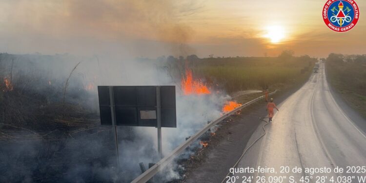 Formiga: bombeiros combatem incêndio em vegetação densa às margens da BR-354; 1,67 hectares foram atingidos