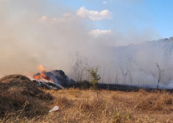 Incêndio em lote vago mobiliza Corpo de Bombeiros no bairro José Honorato de Castro em Formiga