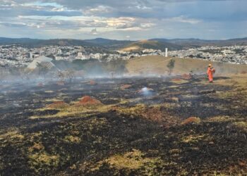 Bombeiros combatem incêndio em área urbana no bairro Novo Horizonte, em Formiga