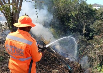 Incêndios em lotes com descarte irregular de lixo comprometem ainda mais a qualidade do ar em Formiga