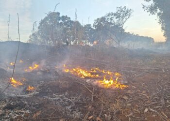 Incêndio em vegetação às margens da BR-354 mobiliza Bombeiros em Formiga