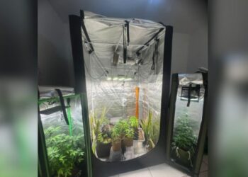 PM desmantela laboratório de drogas em Divinópolis; um homem foi preso