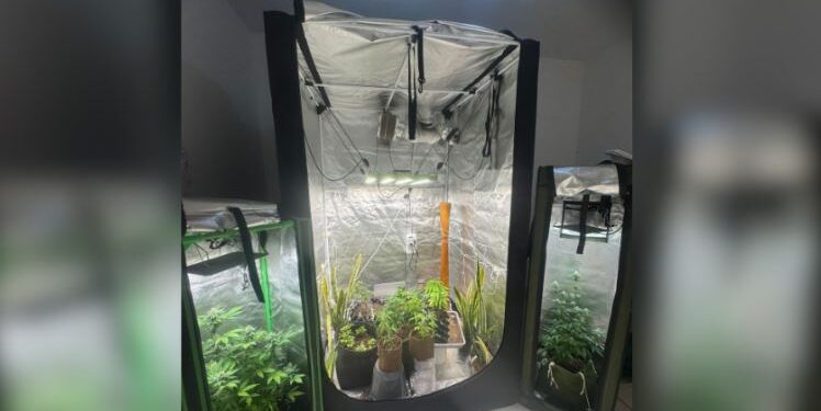 PM desmantela laboratório de drogas em Divinópolis; um homem foi preso