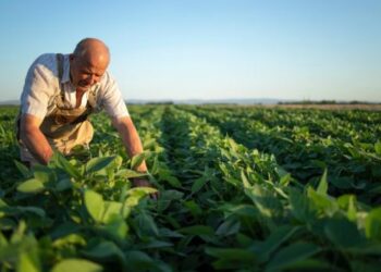 Prefeitura de Formiga e BMA promovem roda de conversa sobre melhoramento genético de rebanhos
