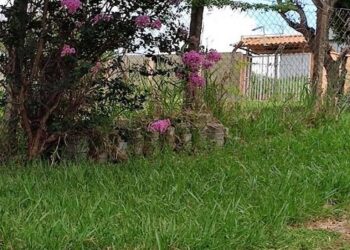 Festival Gastronômico Rural – Edição Fazenda Velha acontece em outubro e celebra os sabores da cultura local