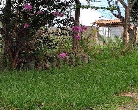 Festival Gastronômico Rural – Edição Fazenda Velha acontece em outubro e celebra os sabores da cultura local