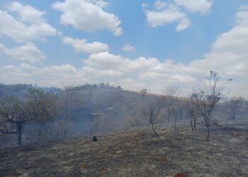 Bombeiros combatem incêndio às margens da MG-050, em Formiga