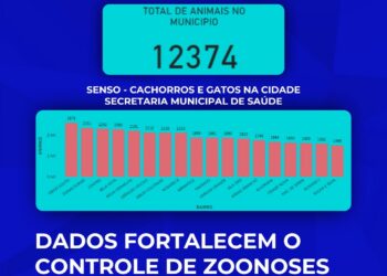 Prefeitura de Formiga divulga diagnóstico inédito sobre cães e gatos por bairro