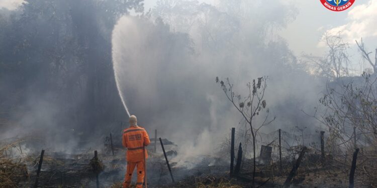 Bombeiros combatem incêndio em lote vago no bairro de Formiga