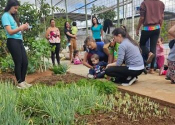 Formiga: projeto Semear incentiva educação ambiental no C.E.I. Dona Maruca