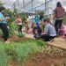 Formiga: projeto Semear incentiva educação ambiental no C.E.I. Dona Maruca