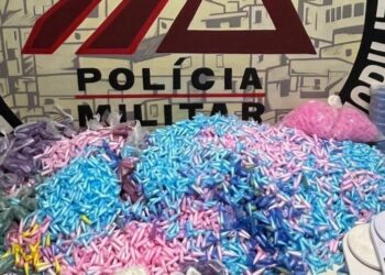PM encontra cerca de 10 mil pinos de cocaína na Grande BH