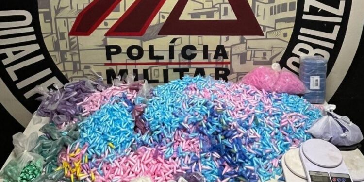 PM encontra cerca de 10 mil pinos de cocaína na Grande BH