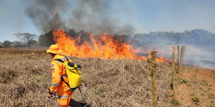 Incêndio atinge área de pastagem e plantação de eucalipto em Córrego Fundo