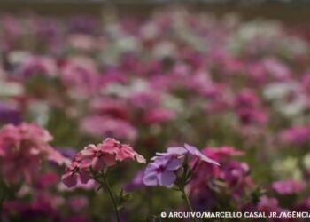 Primavera começa com chegada de frente fria, temporais e fortes ventos