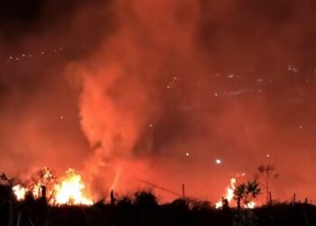Bombeiros controlam incêndio de grandes proporções no Engenho de Serra