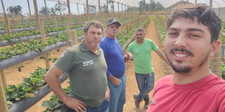 Fruticultor de Córrego Fundo visita produtor de morango em Divinópolis