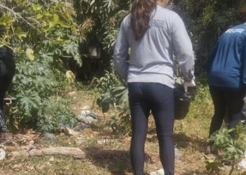 Secretaria de Saúde de Córrego Fundo atua em denúncias de possíveis criadouros do mosquito da dengue