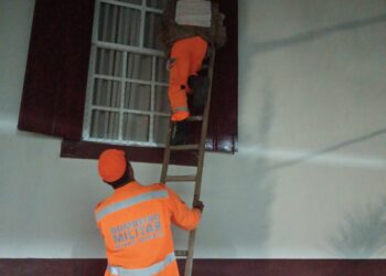 Bombeiros removem enxame de marimbondos em residência no Centro de Formiga