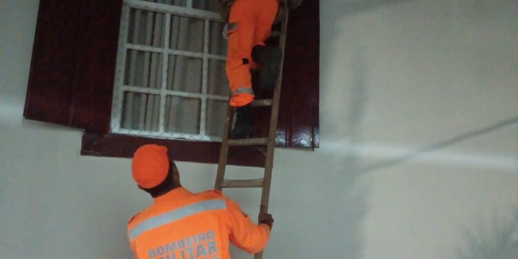 Bombeiros removem enxame de marimbondos em residência no Centro de Formiga