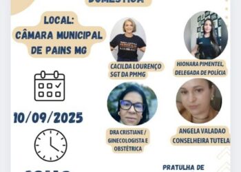 2º Seminário sobre Violência Doméstica será realizado na Câmara Municipal de Pains