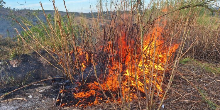 Dois incêndios são registrados em rodovias de Formiga em menos de 5h nessa quinta-feira