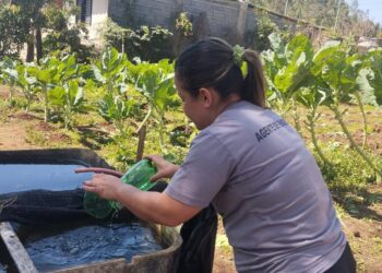 Córrego Fundo registra baixo índice de infestação do Aedes aegypti em LIRAa