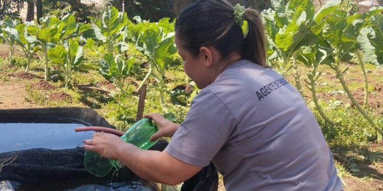 Córrego Fundo registra baixo índice de infestação do Aedes aegypti em LIRAa