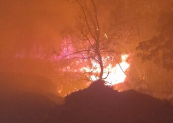 Bombeiros combatem incêndio em lote vago e evitam propagação para reserva ambiental em Formiga