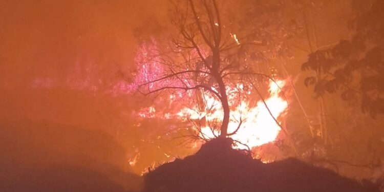Bombeiros combatem incêndio em lote vago e evitam propagação para reserva ambiental em Formiga