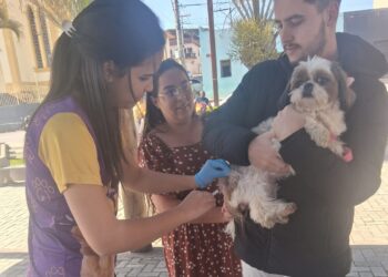 Campanha Antirrábica imuniza mais de mil animais em Córrego Fundo