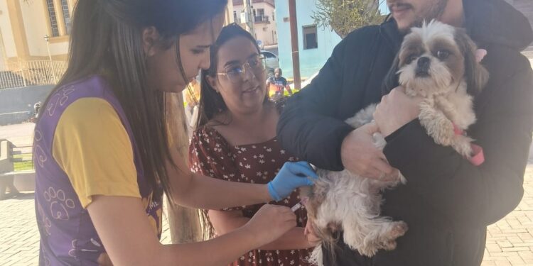 Campanha Antirrábica imuniza mais de mil animais em Córrego Fundo