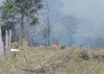 Incêndio atinge 180 hectares de pastagem no Residencial Mirante do Lago, em Campo Belo