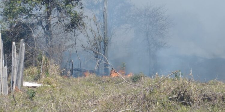 Incêndio atinge 180 hectares de pastagem no Residencial Mirante do Lago, em Campo Belo