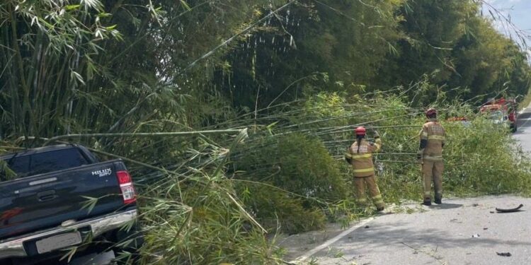Colisão entre veículos causa obstrução parcial da BR-494 em Carmo da Mata
