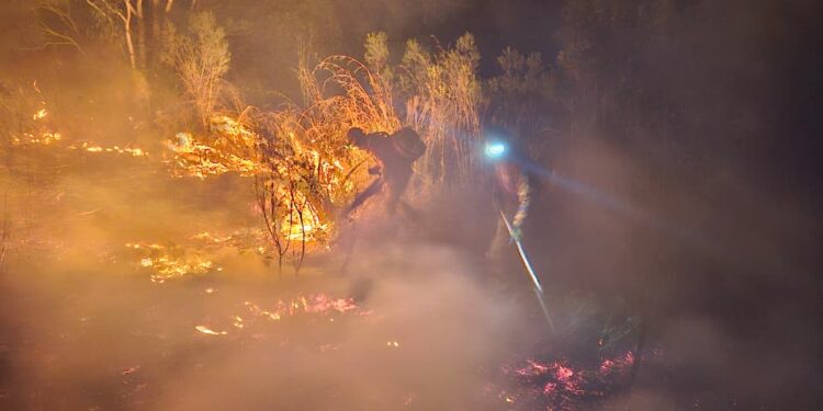Bombeiros de Campo Belo controlam incêndio às margens da BR-354