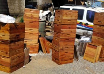 Apicultores de Córrego Fundo recebem kits completos para incentivo à atividade